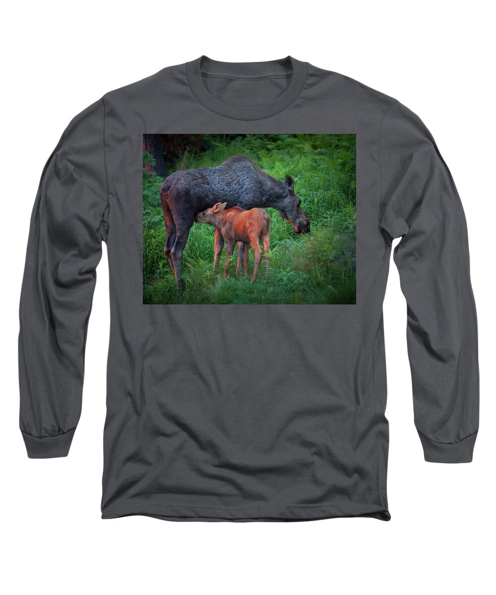 Moose Long Sleeve T-Shirt featuring the photograph Table for Two #1 by Tim Newton
