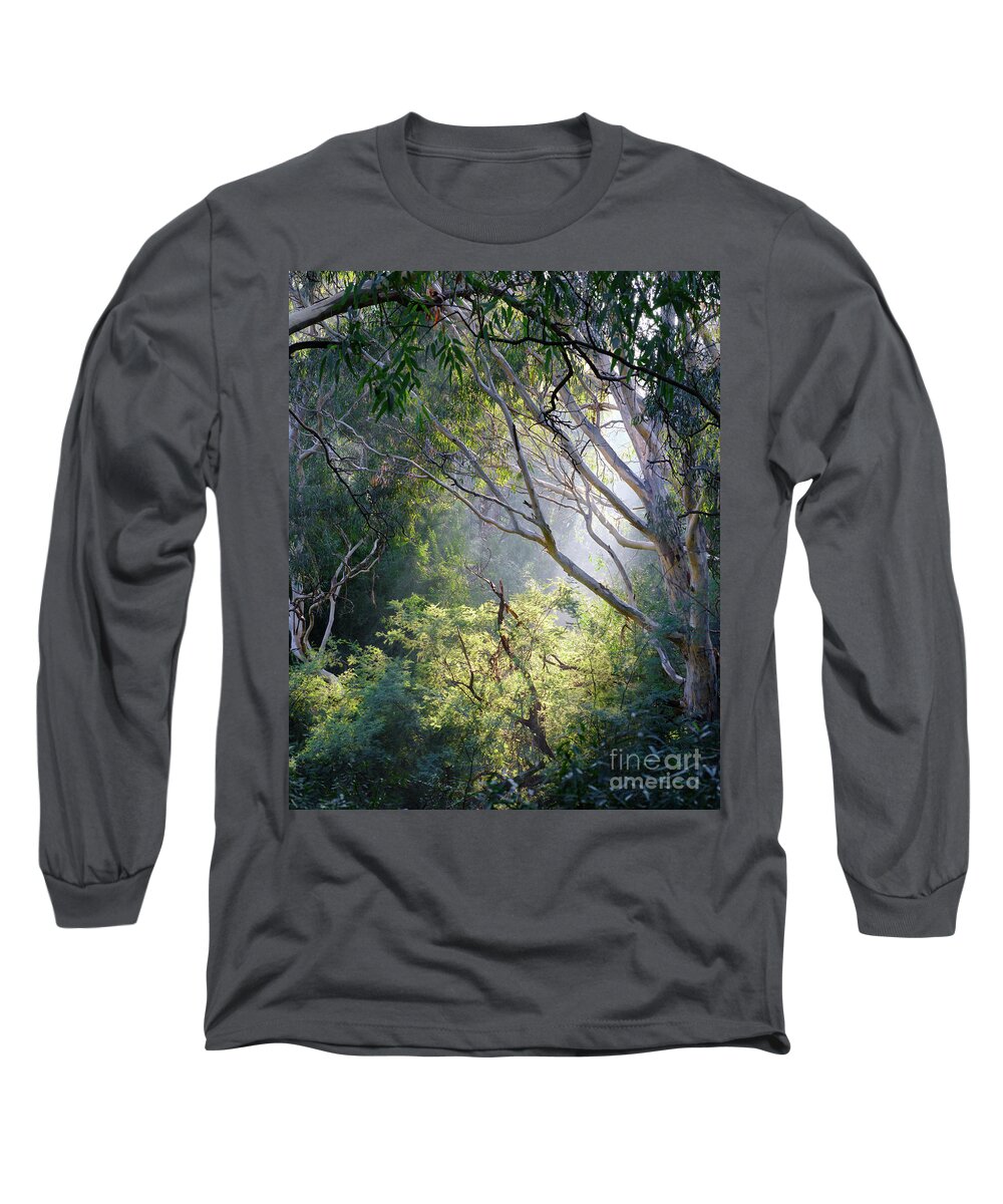 Gum Tree Long Sleeve T-Shirt featuring the photograph The Sun Shines Through #1 by Neil Maclachlan