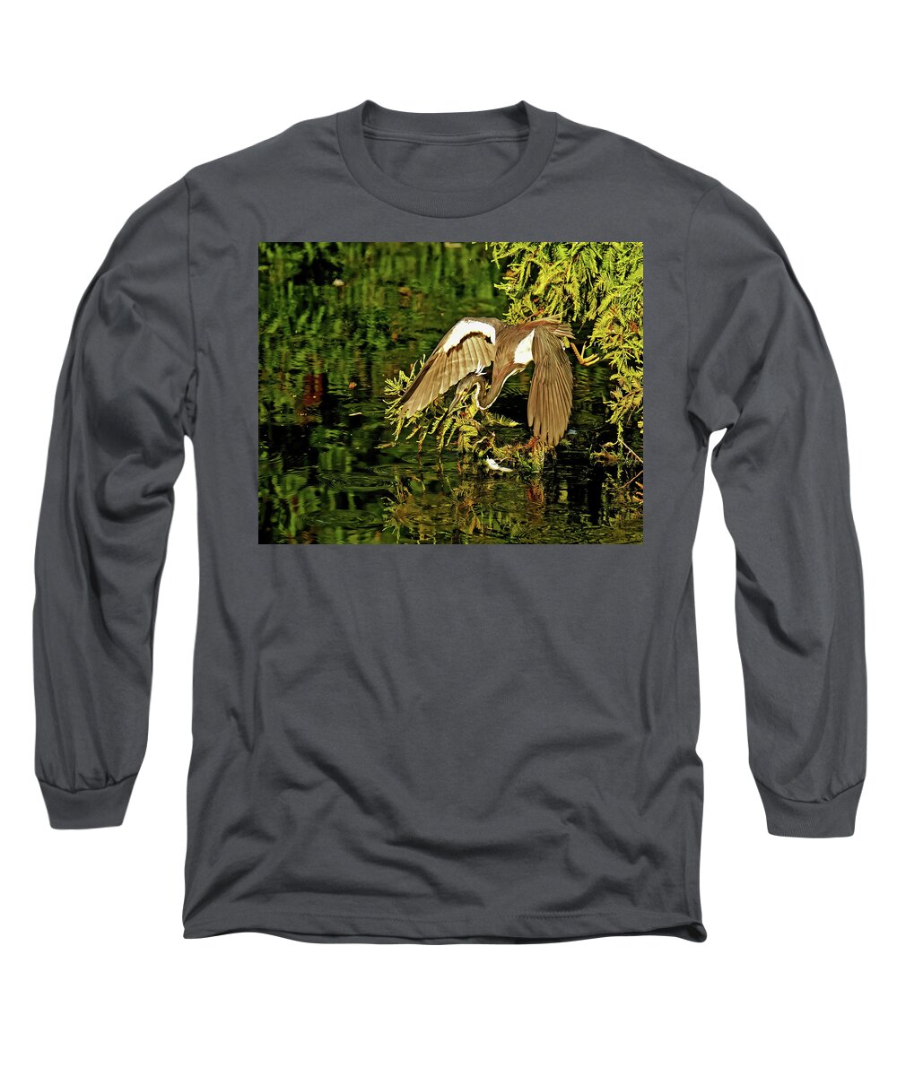 Tricolored Heron Long Sleeve T-Shirt featuring the photograph Tricolored Heron #2 by Stuart Harrison
