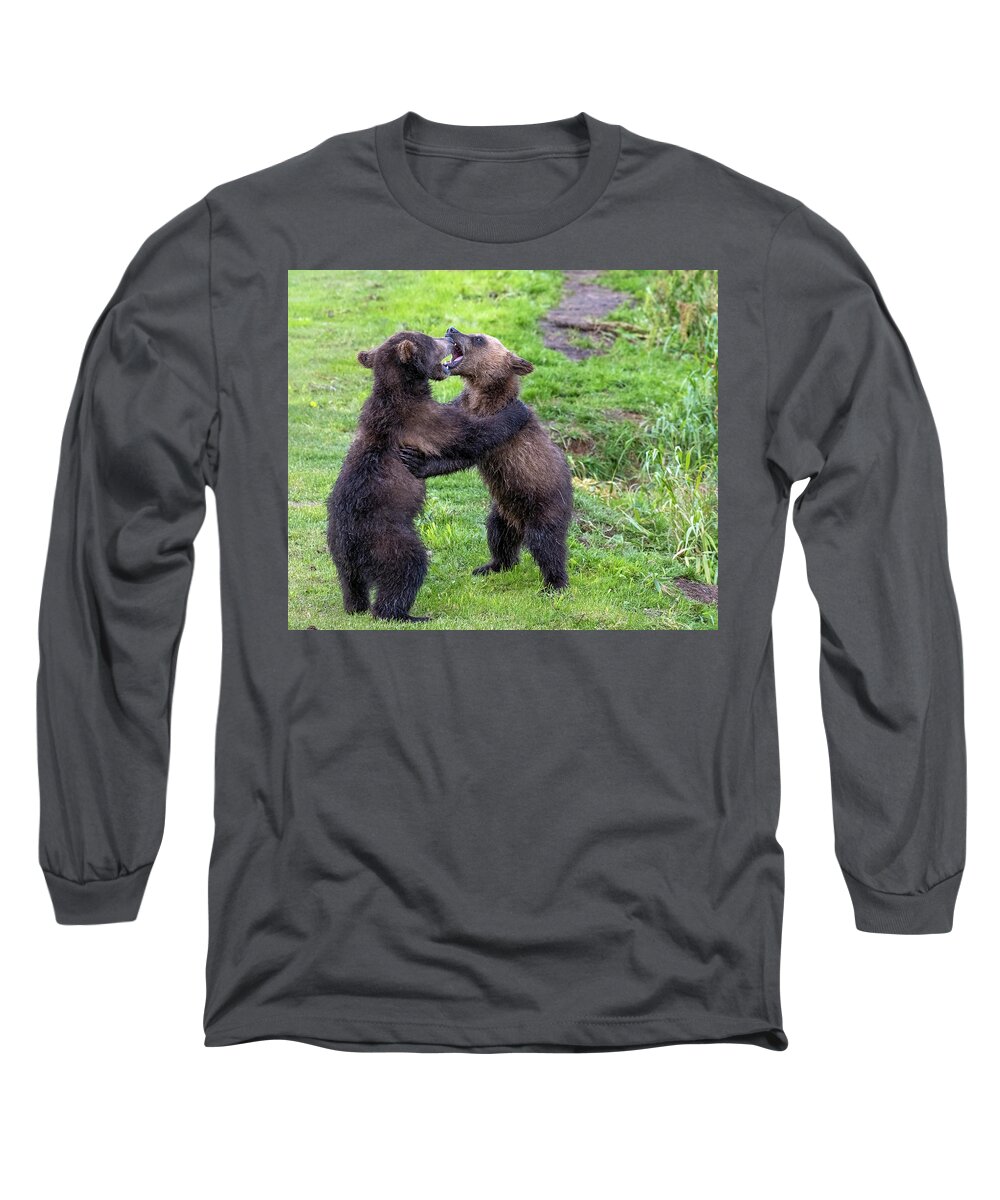 Bear Long Sleeve T-Shirt featuring the photograph Two brown bear cubs playing #1 by Mikhail Kokhanchikov