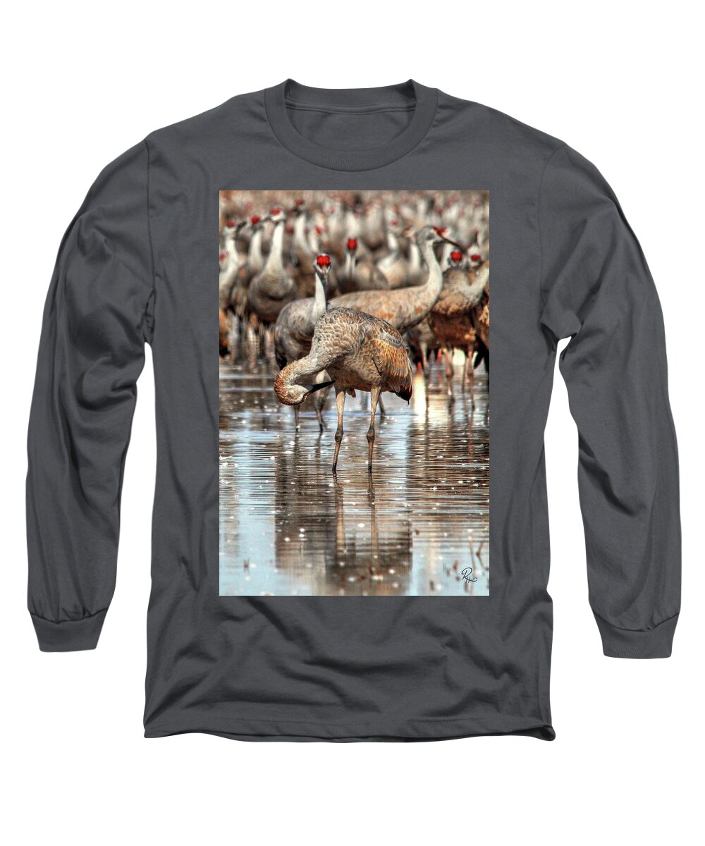 Wildlife Long Sleeve T-Shirt featuring the photograph Whitewater Draw 2537 by Robert Harris