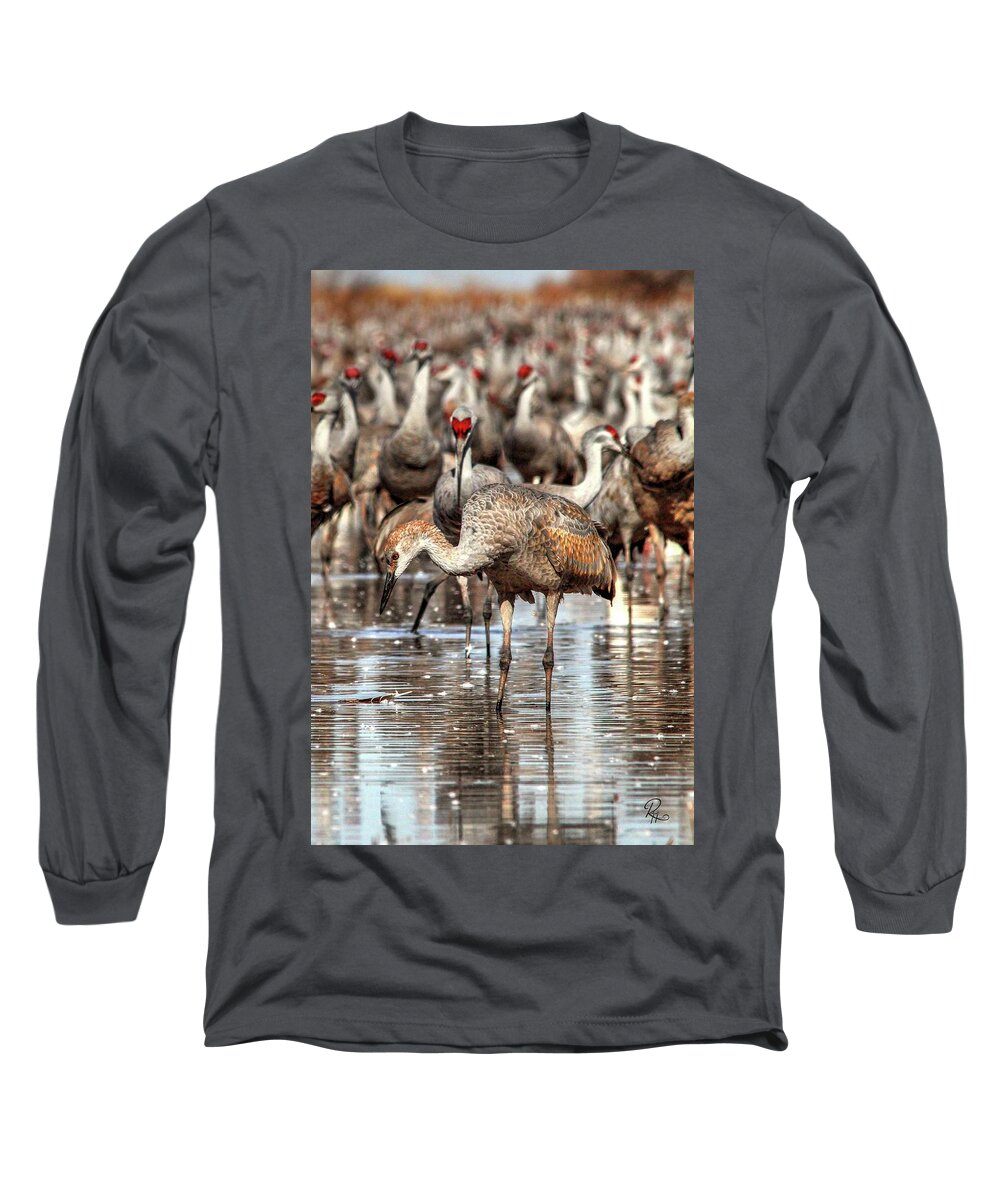 Wildlife Long Sleeve T-Shirt featuring the photograph Whitewater Draw 2541 by Robert Harris