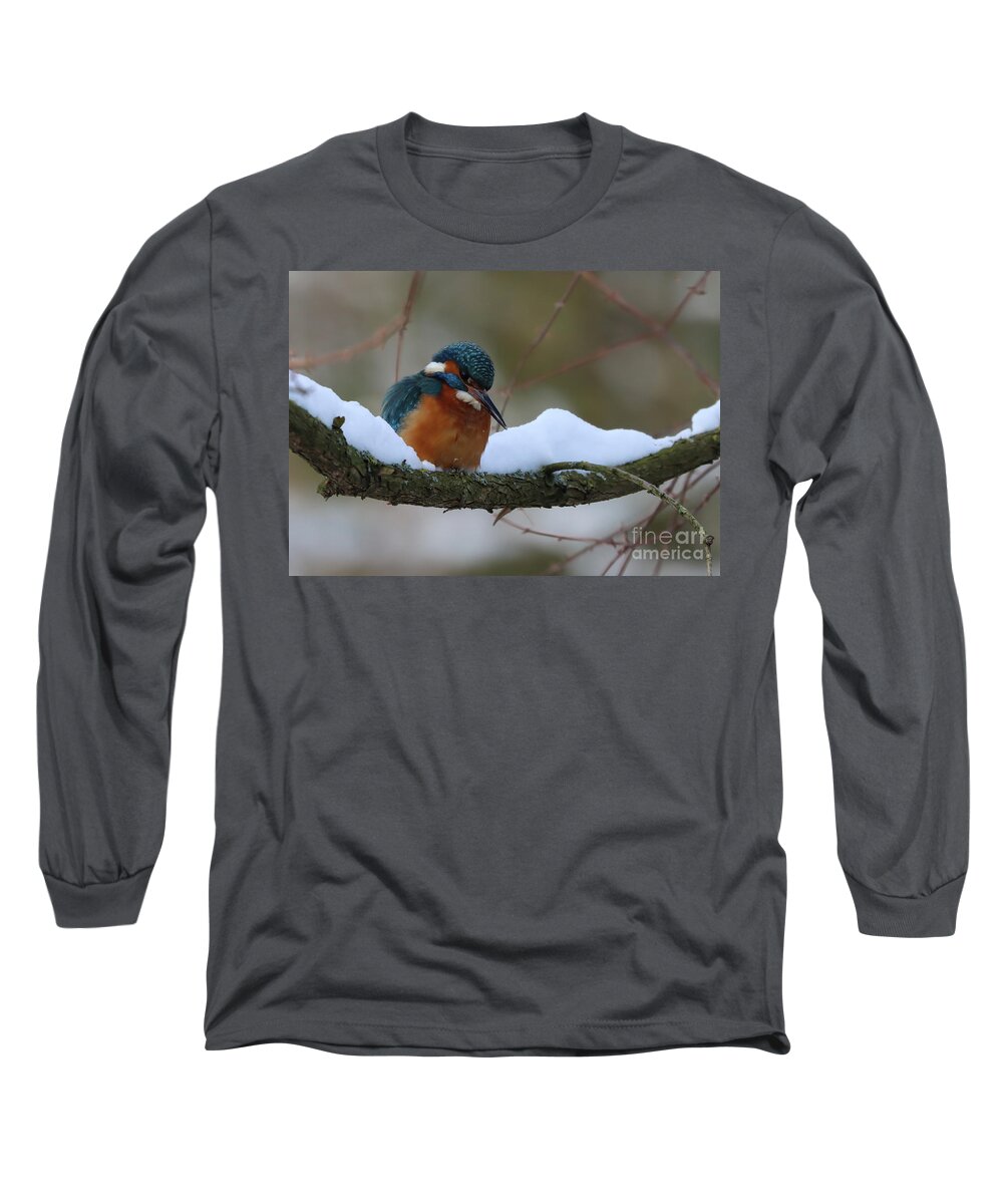 European Kingfisher Long Sleeve T-Shirt featuring the photograph Winter Morning #1 by Eva Lechner