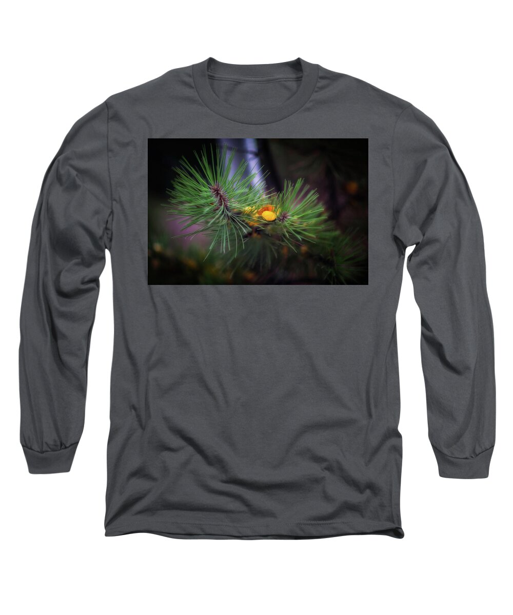 Fall Long Sleeve T-Shirt featuring the photograph Fall colors, Colorado #2 by Doug Wittrock