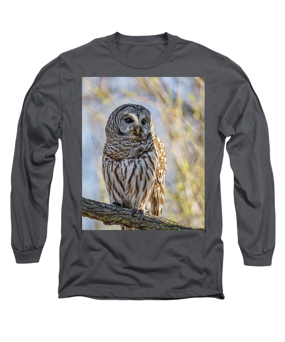 Barred Owl Long Sleeve T-Shirt featuring the photograph Barred Owl #14 by Brad Bellisle