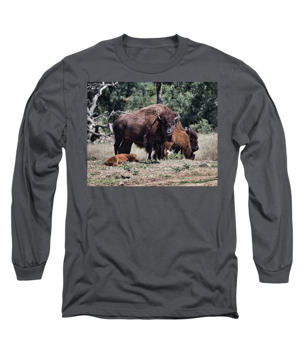 Bison Long Sleeve T-Shirt featuring the photograph 2 And 2 by American Landscapes