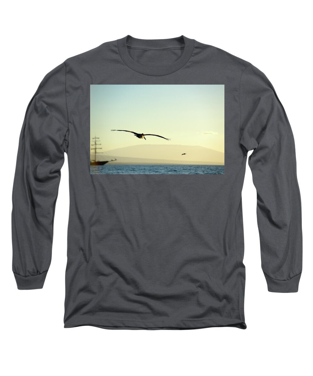 Republic Of Ecuador Long Sleeve T-Shirt featuring the photograph Brown Pelican, Pelecanus occidentalis, Elizabeth Bay, Isabela Island, Galapagos Islands, Ecuador #2 by Kevin Oke