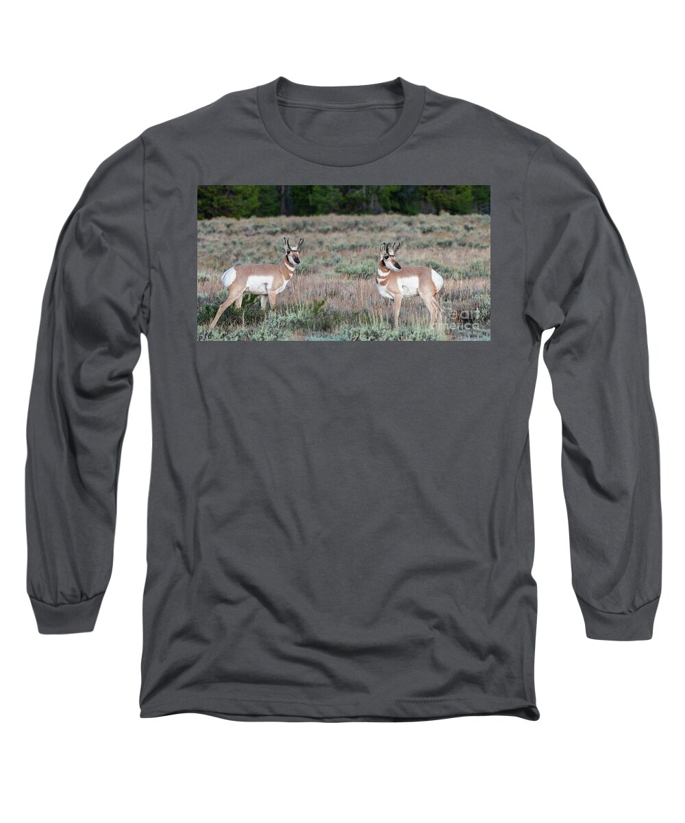 Animals Long Sleeve T-Shirt featuring the photograph Double Trouble #2 by Sandra Bronstein