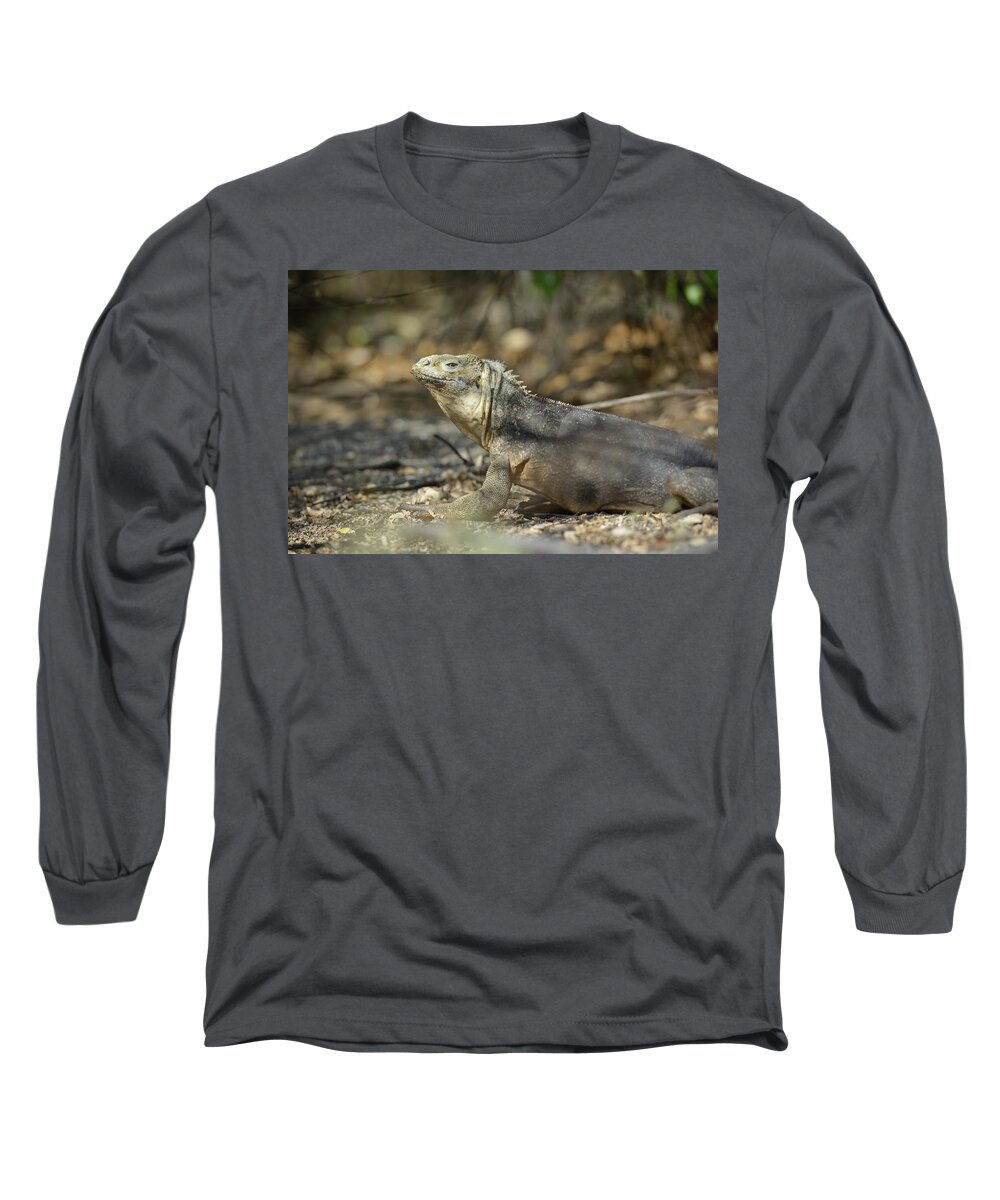 Republic Of Ecuador Long Sleeve T-Shirt featuring the photograph Galapagos land iguana, Conolophus subcristatus, Urbina Bay, Isabela Island, Galapagos Islands, Ecuador #2 by Kevin Oke
