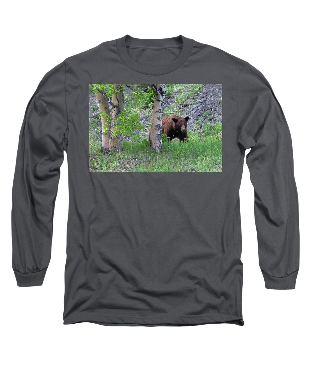 Cinammon Black Bear In Glacier National Park Long Sleeve T-Shirt featuring the photograph I know you are there #2 by Carolyn Hall