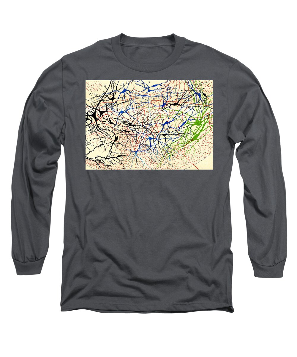 Brain Function Long Sleeve T-Shirt featuring the drawing Nerve Cells Santiago Ramon Y Cajal #1 by Science Source