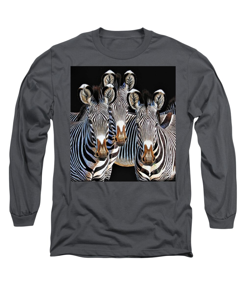 Cynthie Fisher Long Sleeve T-Shirt featuring the drawing 3 Zebras Scratch Board by Cynthie Fisher