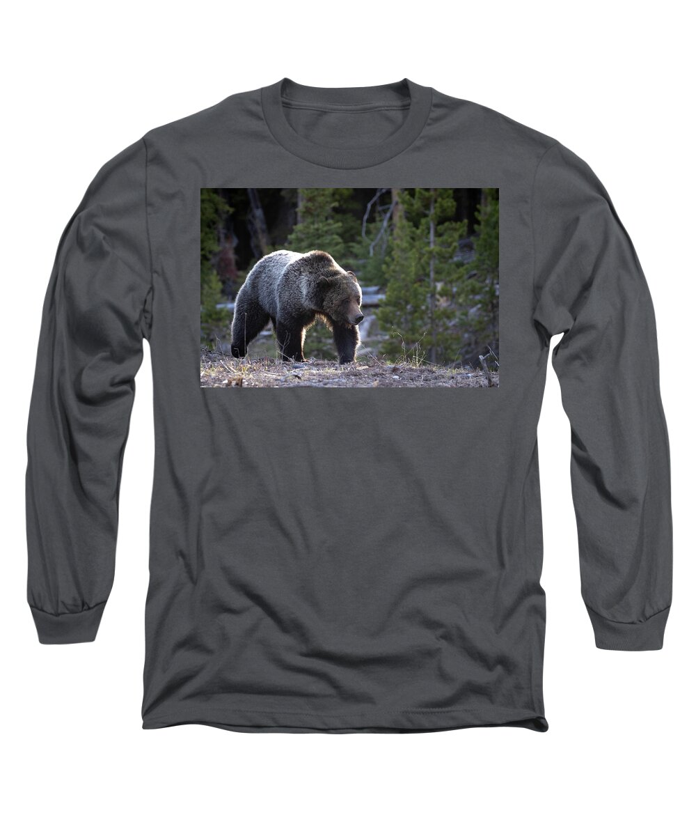 Grizzly Long Sleeve T-Shirt featuring the photograph Grizzly #4 by Julie Argyle