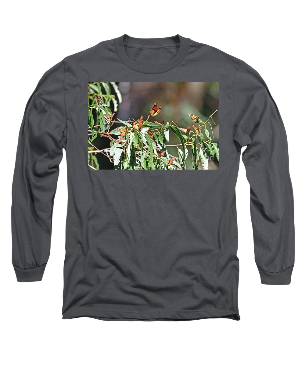 Monarch Long Sleeve T-Shirt featuring the photograph Monarch Butterfly #4 by Amazing Action Photo Video