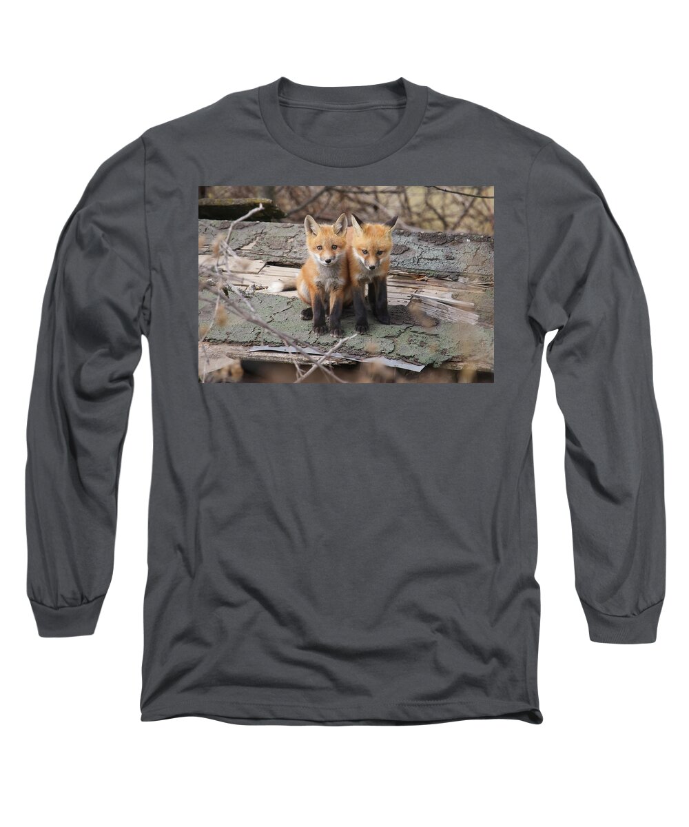 Fox Long Sleeve T-Shirt featuring the photograph Fox Kits #5 by Brook Burling