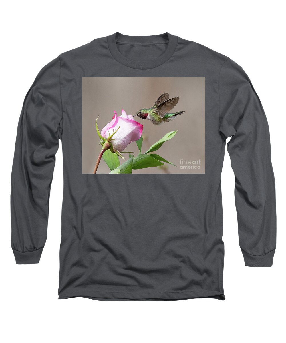 Bird Long Sleeve T-Shirt featuring the photograph Broad-tailed Hummingbird #6 by Dennis Hammer