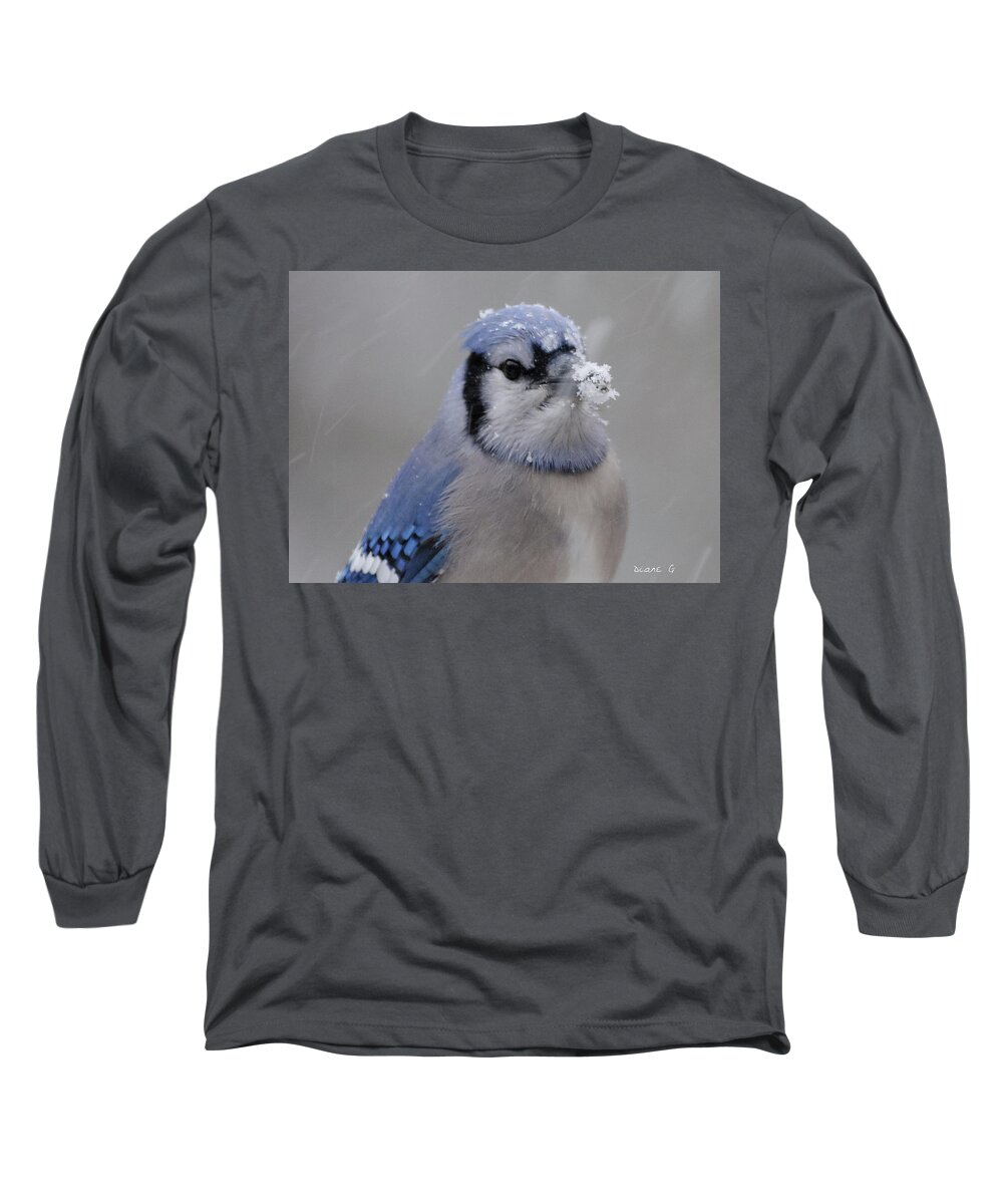 Winter Blue Jay Long Sleeve T-Shirt featuring the photograph Winter Blue Jay #8 by Diane Giurco
