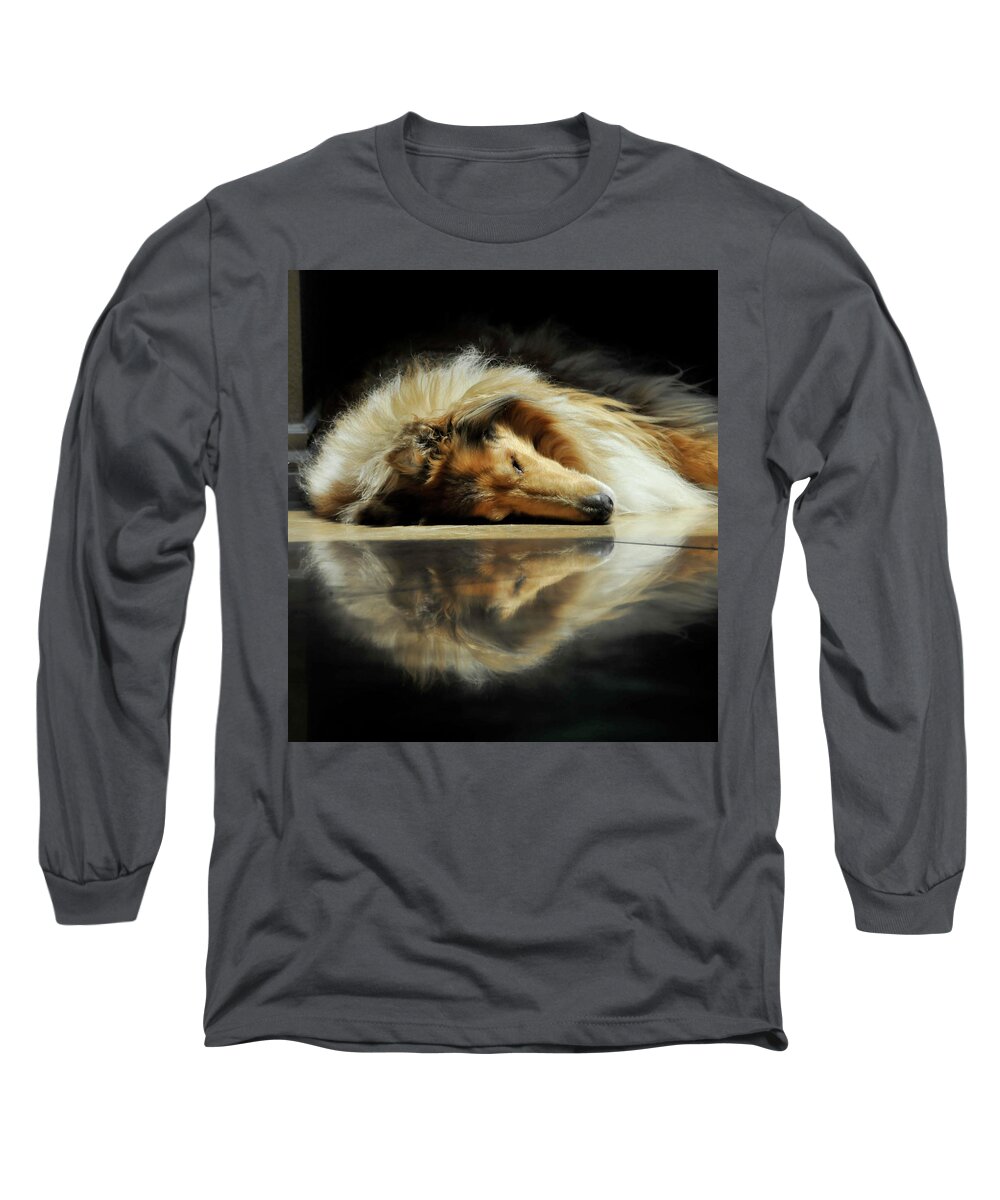 Dog Long Sleeve T-Shirt featuring the photograph A Collie's Travertine Reflection by Bonnie Colgan