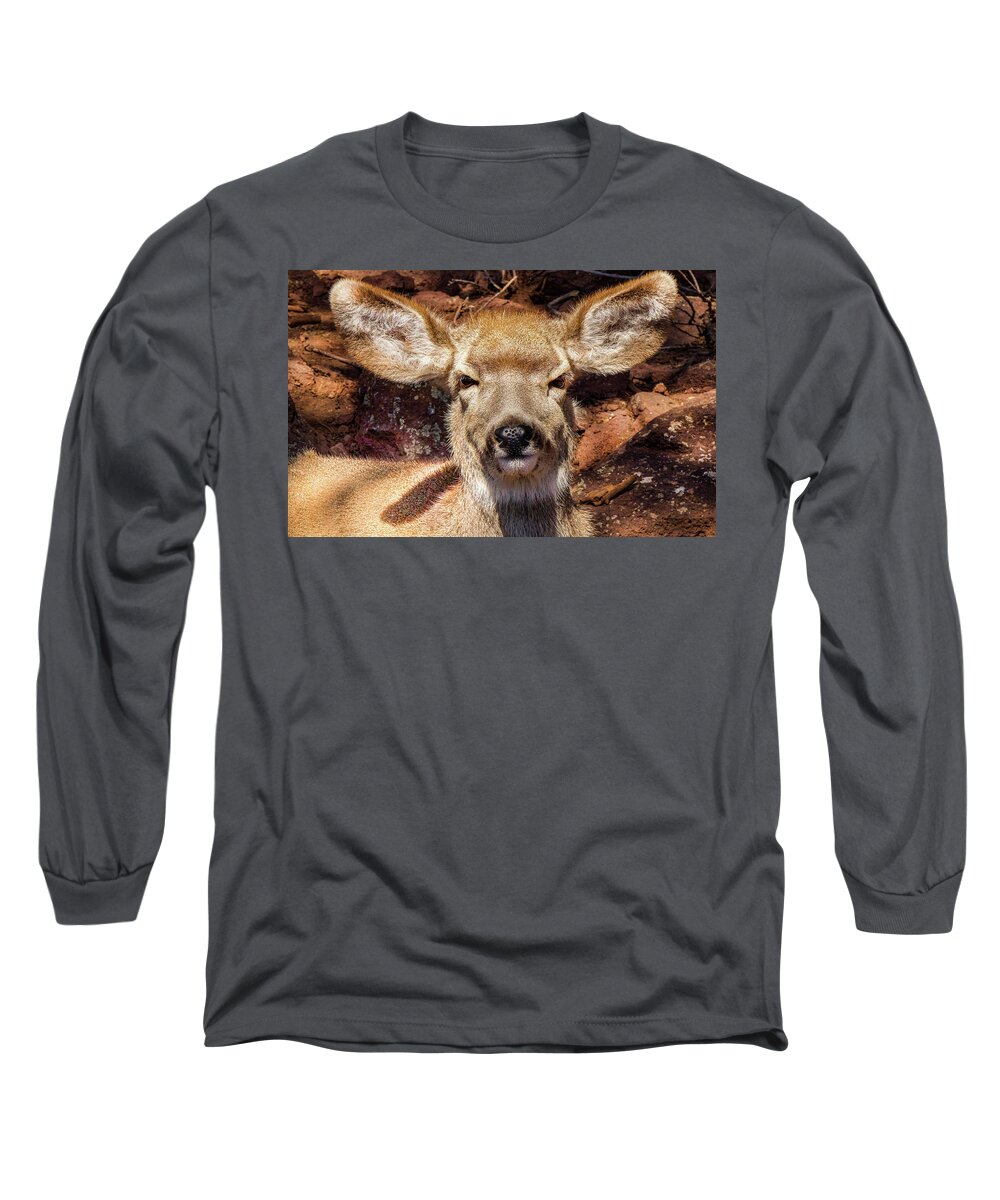 Deer Long Sleeve T-Shirt featuring the photograph A Mule Deer by Laura Putman