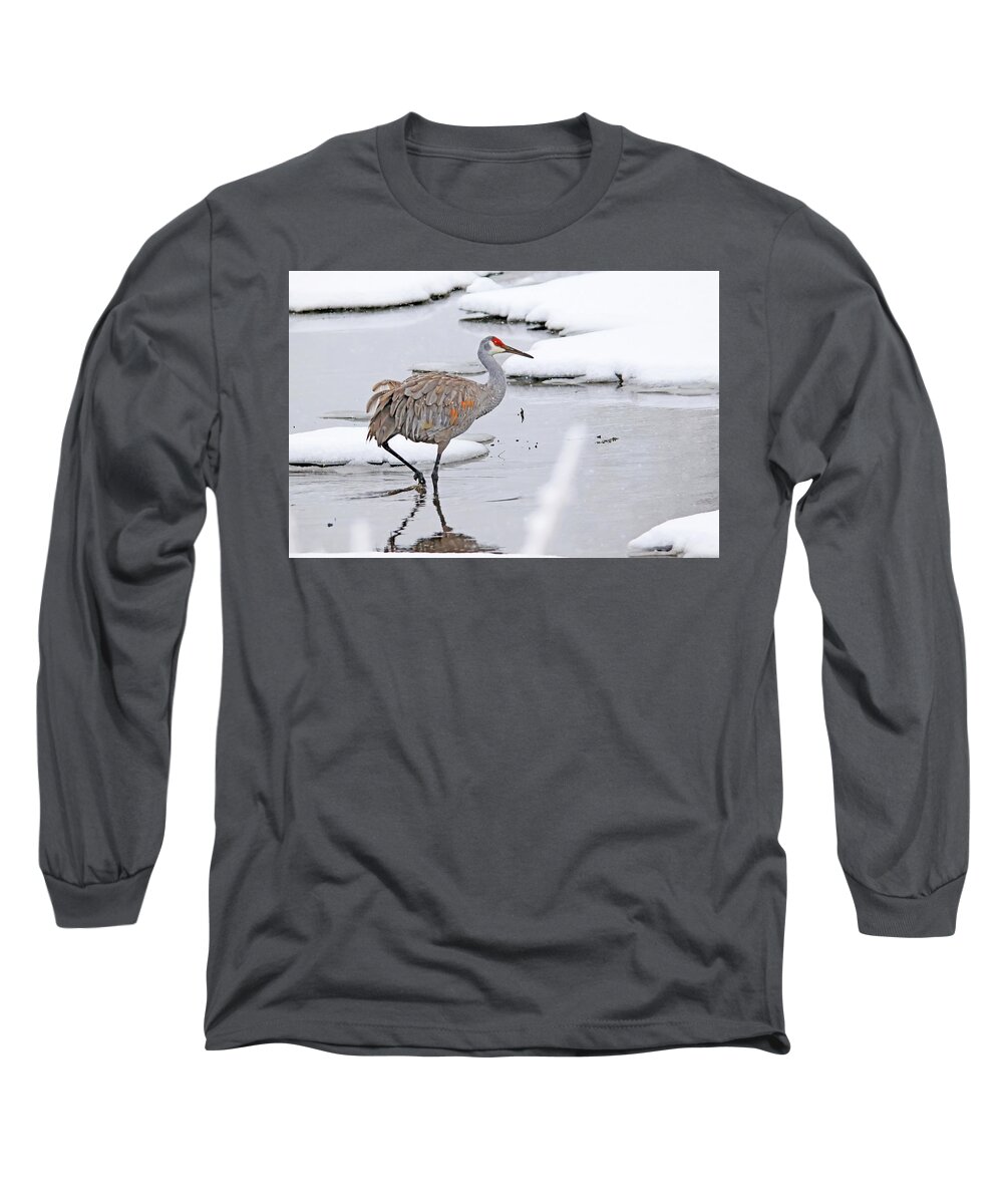 Sandhill Crane Long Sleeve T-Shirt featuring the photograph A Sandhill Crane in Michigan Winter by Shixing Wen