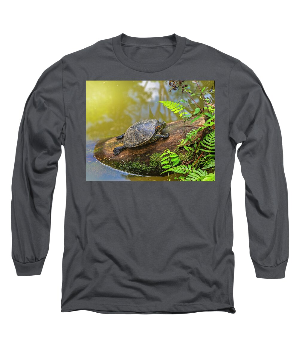 Ahuano Long Sleeve T-Shirt featuring the photograph A terrapin Arrau turtle resting and sunbathing on a log by Henri Leduc