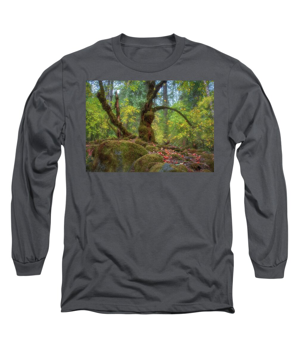 Landscape Long Sleeve T-Shirt featuring the photograph A Walk Along the Path by Laura Macky