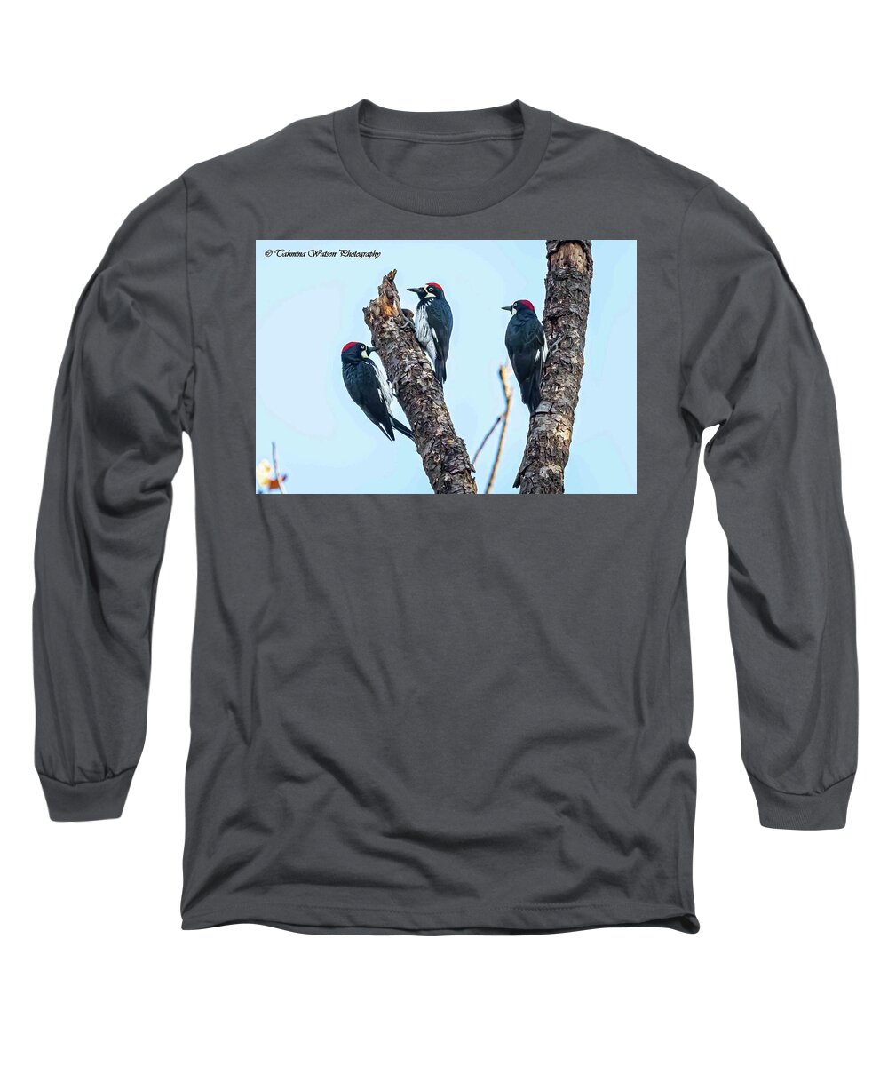 Woodpeckers Long Sleeve T-Shirt featuring the photograph Acorn Woodpeckers by Tahmina Watson