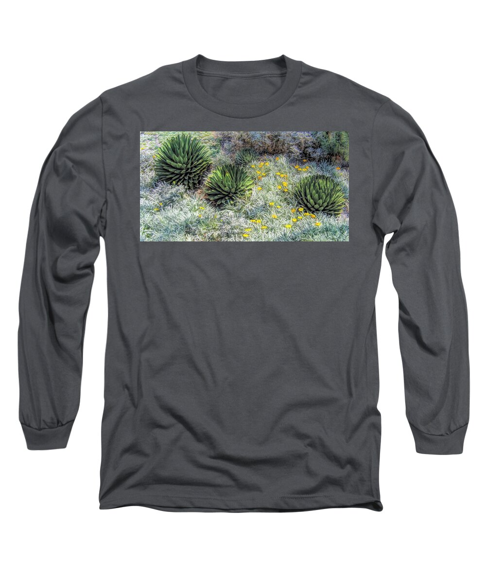 Agave Long Sleeve T-Shirt featuring the photograph Agave Times Three by Ginger Stein