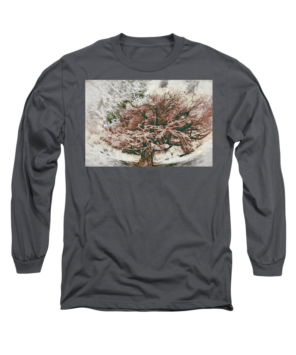 North Carolina Long Sleeve T-Shirt featuring the painting Alone in the Clouds ap by Dan Carmichael