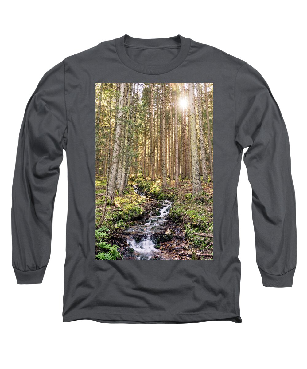 Lago Di Carezza Long Sleeve T-Shirt featuring the photograph Alpine forest #2 by Alberto Zanoni