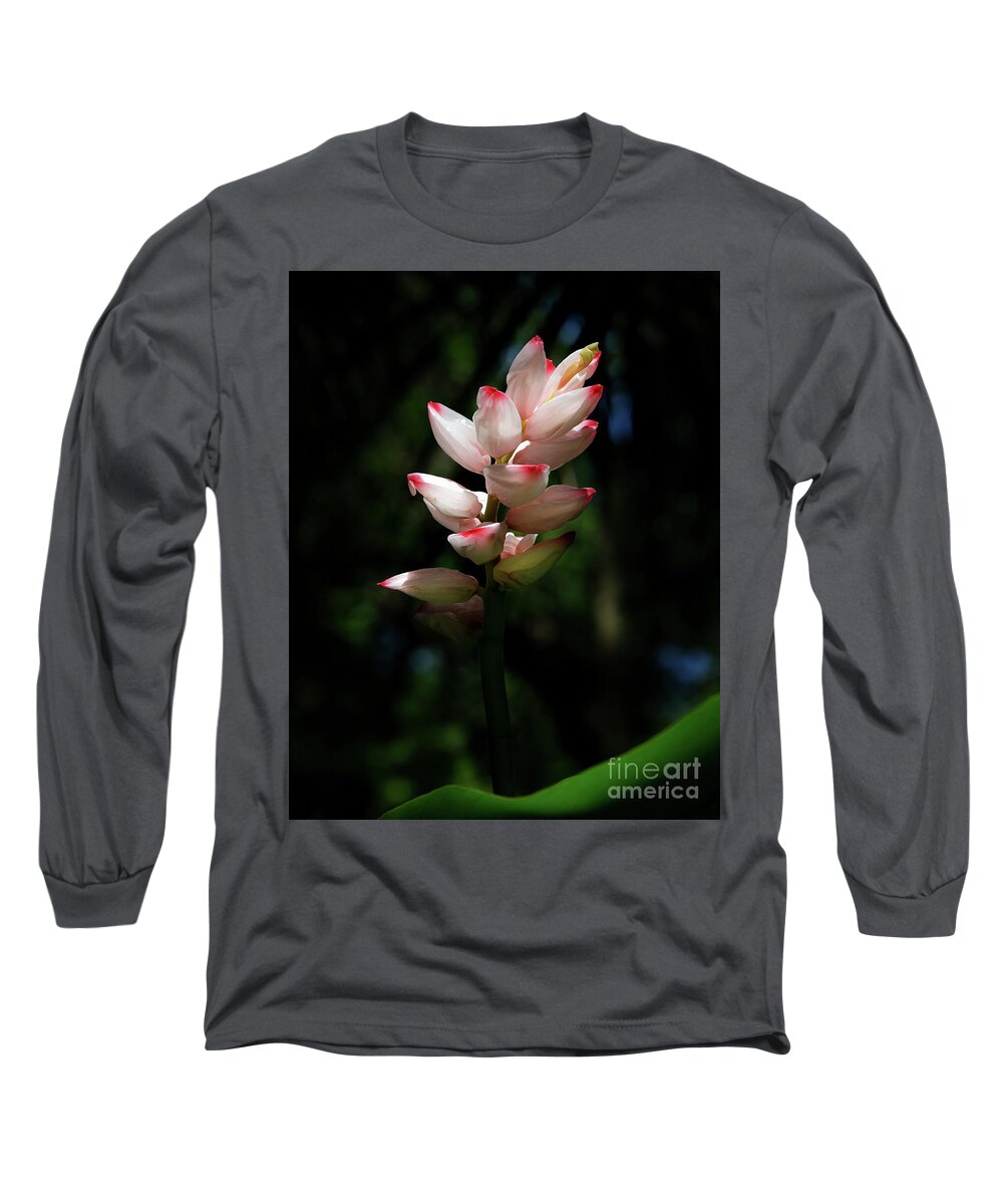 Flower Long Sleeve T-Shirt featuring the photograph Alpinia Glowing in the Sunlight by Neala McCarten