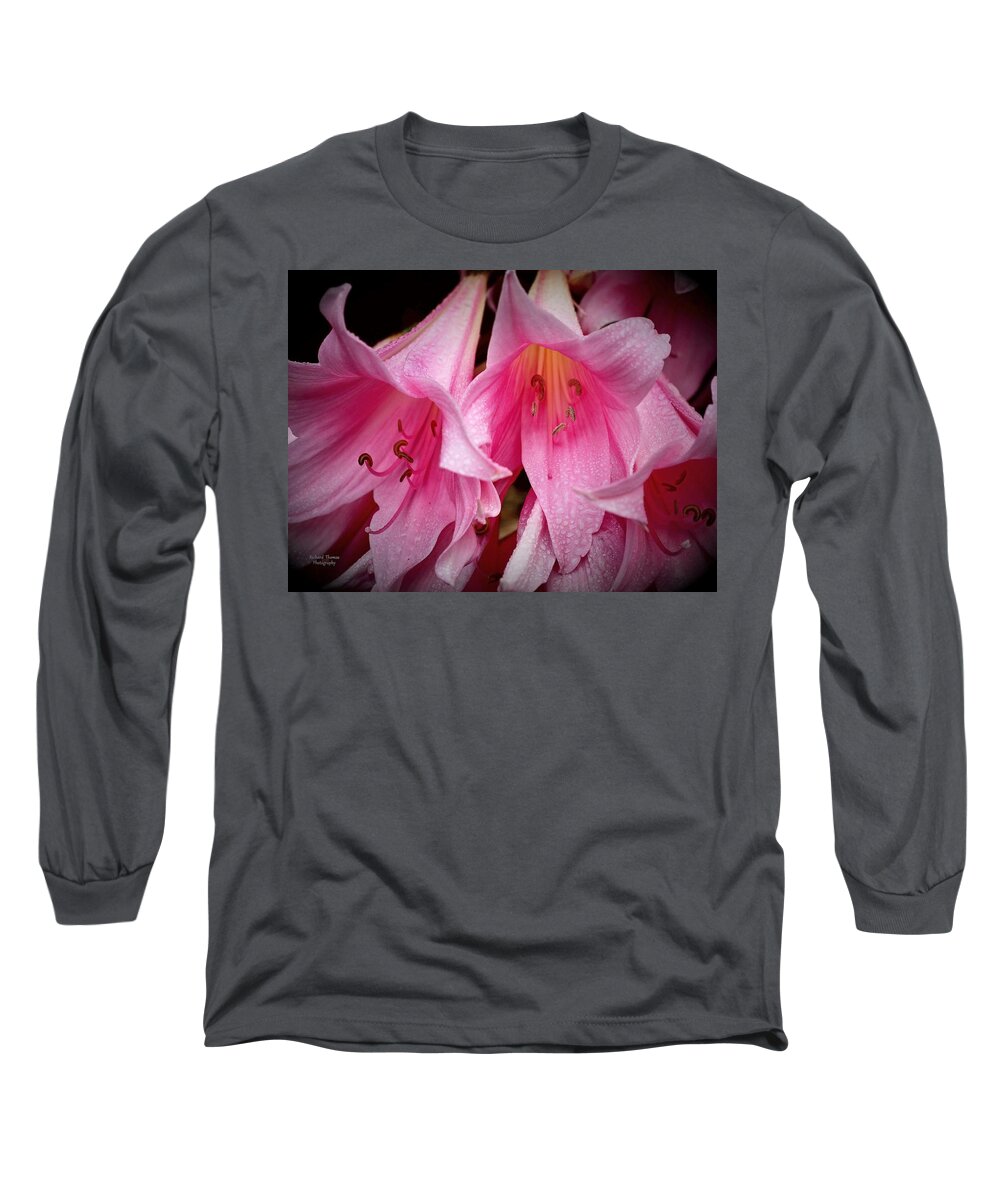 Botanical Long Sleeve T-Shirt featuring the photograph Amaryllis Pink Ladies by Richard Thomas