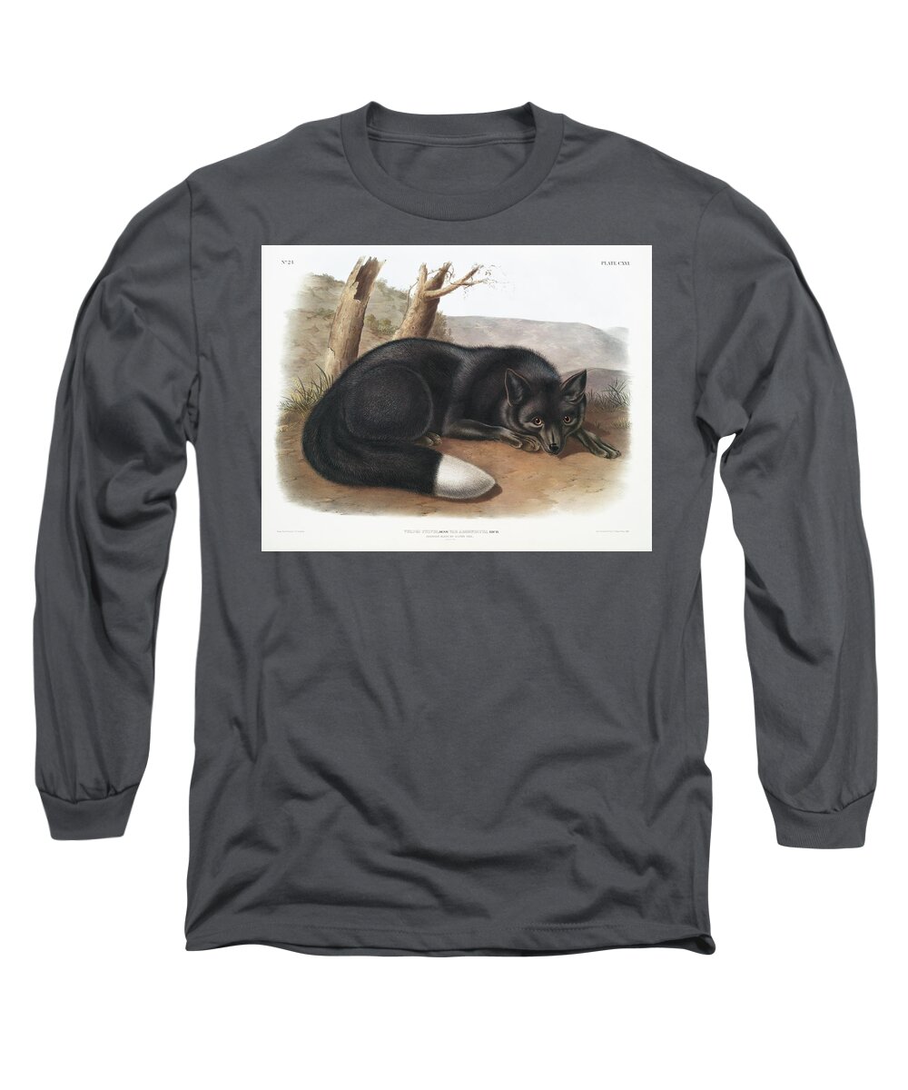 America Long Sleeve T-Shirt featuring the mixed media American Black Fox. John Woodhouse Audubon by World Art Collective