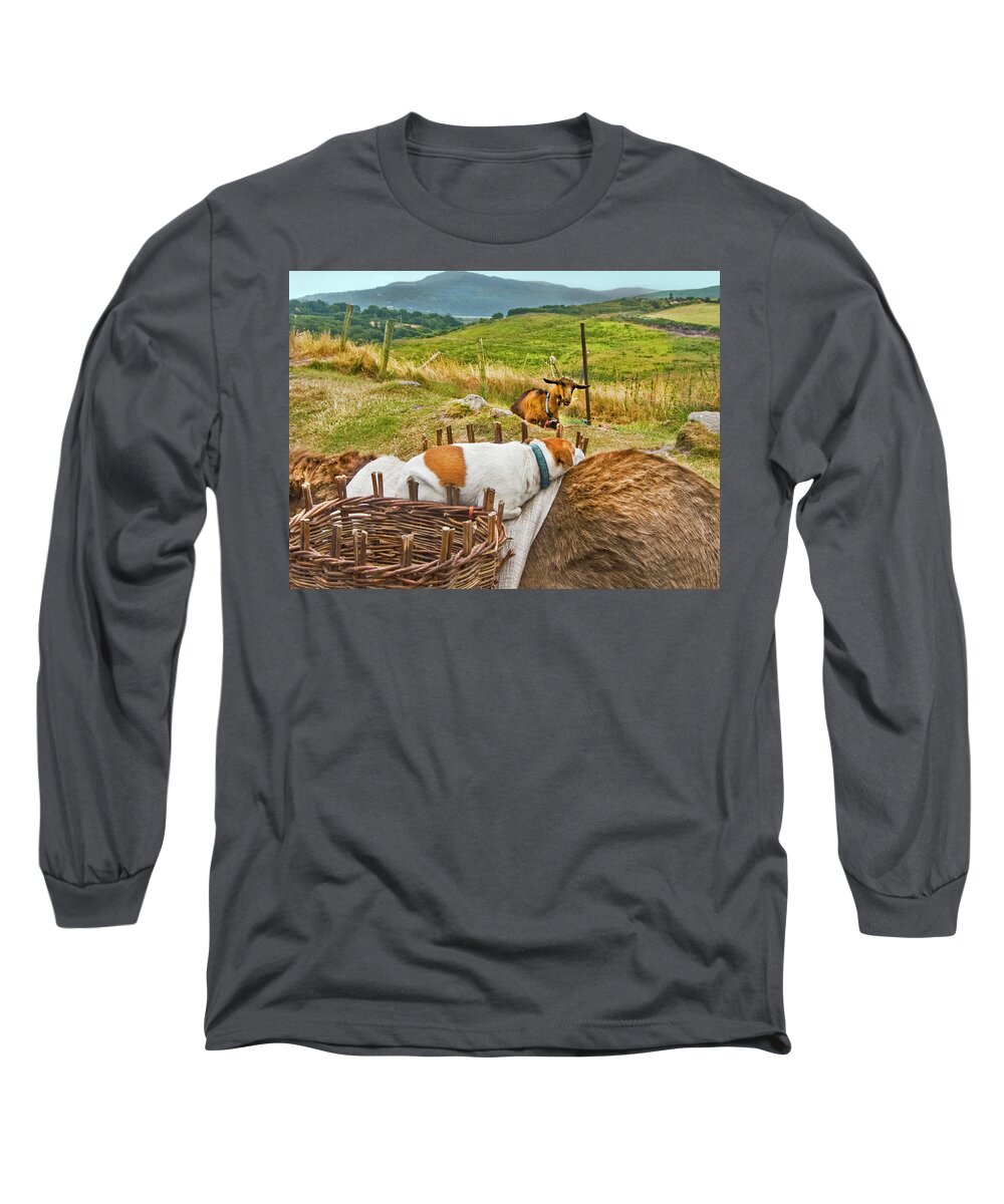 Animal Art Long Sleeve T-Shirt featuring the photograph Amigos by Edward Shmunes