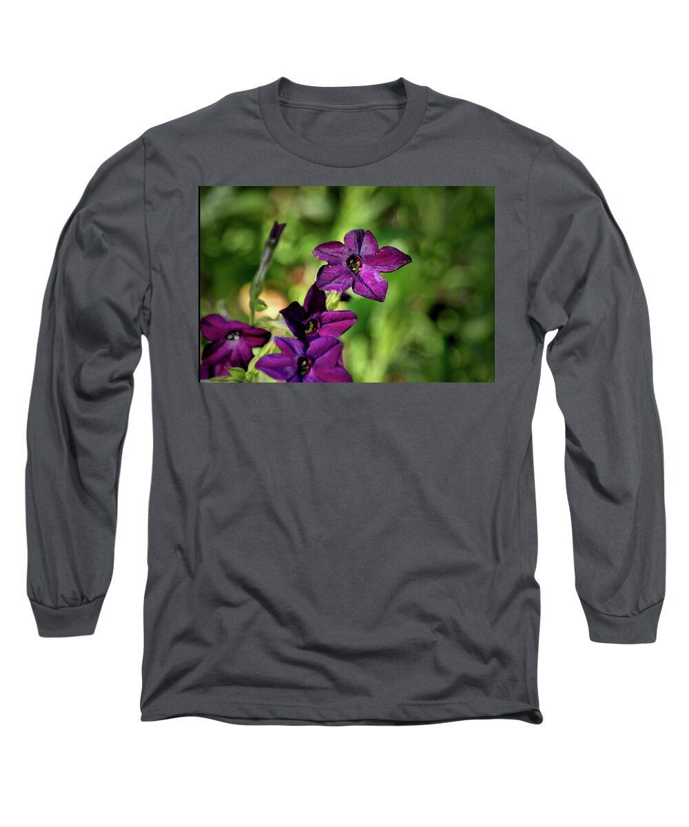 Plants Long Sleeve T-Shirt featuring the photograph another shot of Purple by Buddy Scott