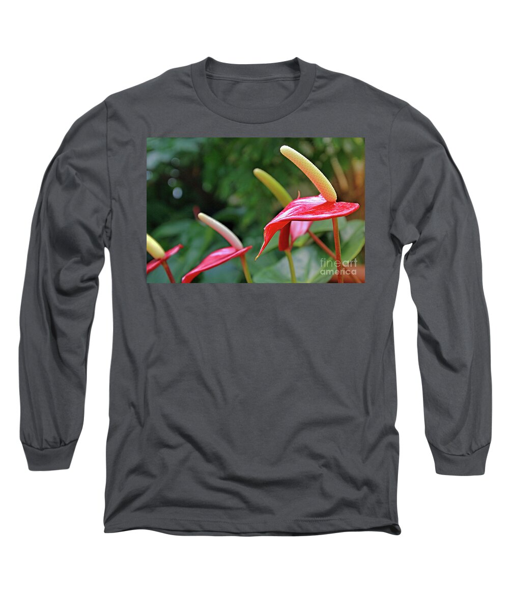 Flora Long Sleeve T-Shirt featuring the photograph Anthurium by Tom Watkins PVminer pixs