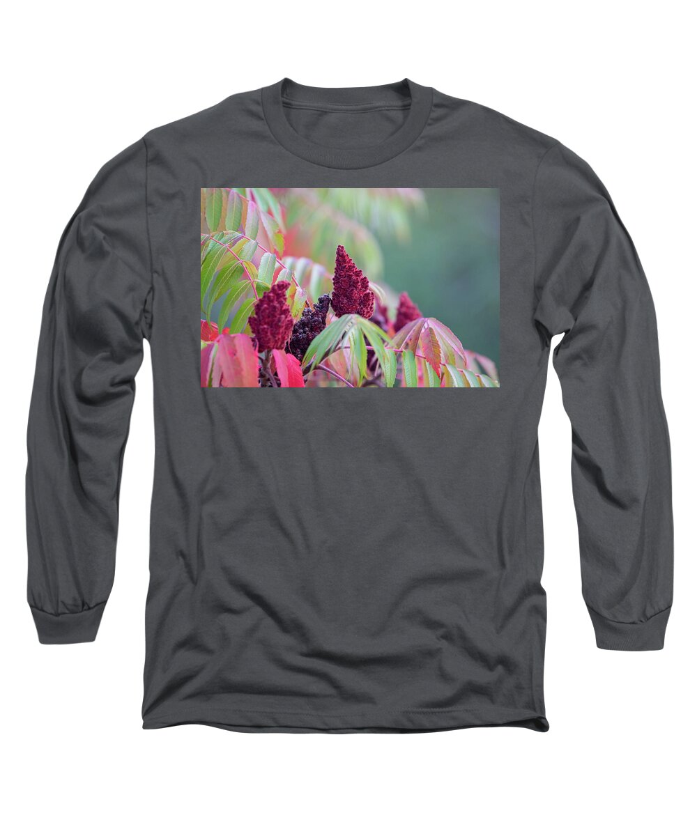 Sumac Long Sleeve T-Shirt featuring the photograph Autumn Colors Staghorn Sumac by Marlin and Laura Hum