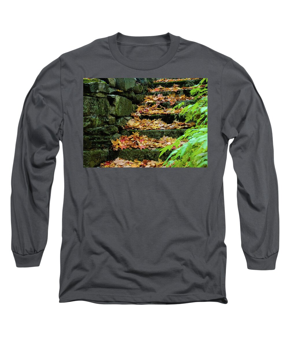 Autumn Fall Season Stairs Stairway Leaves Stone Nature Outdoors Cemetery Long Sleeve T-Shirt featuring the photograph Autumn stairway by Bruce Carpenter