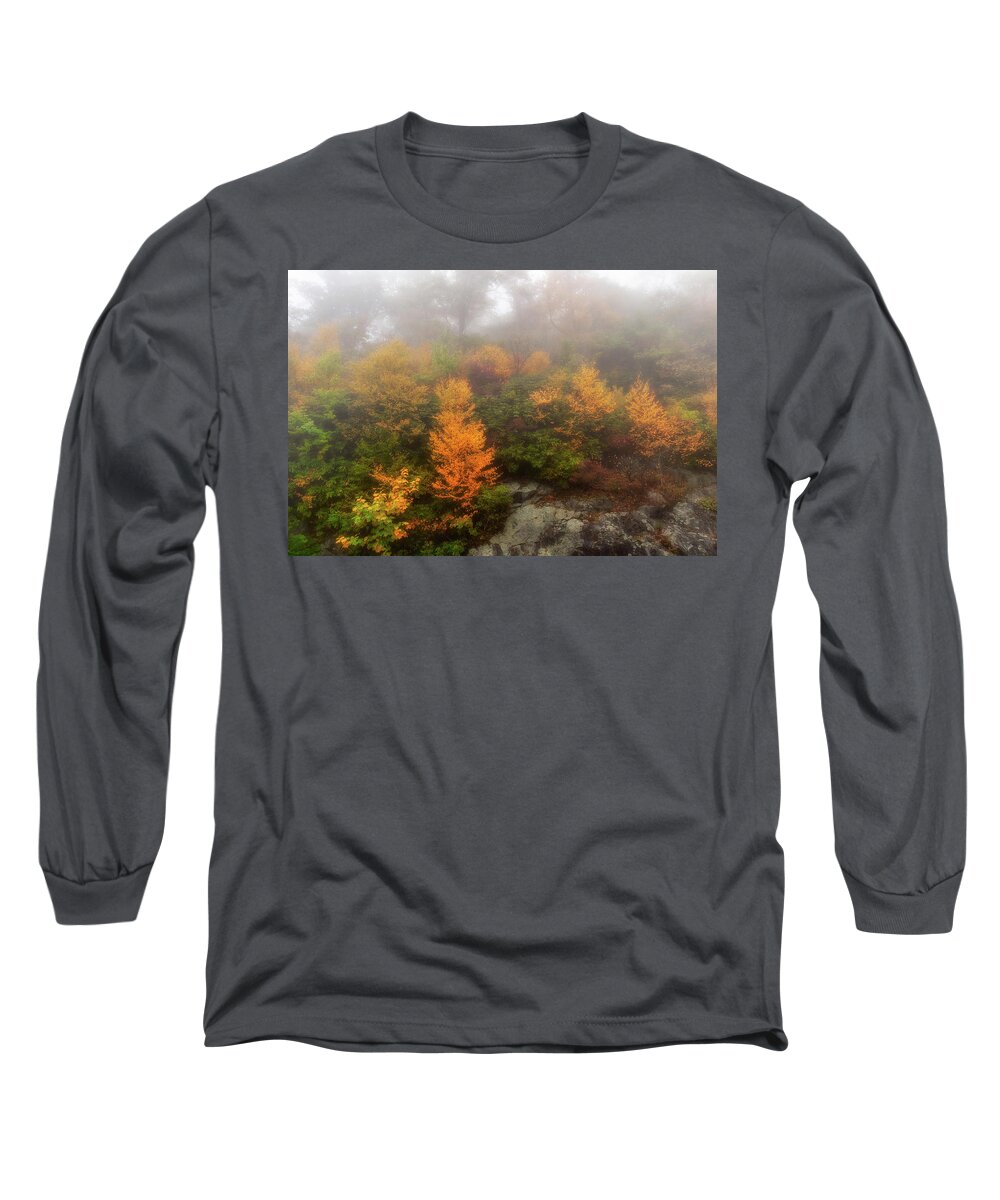 Fall Long Sleeve T-Shirt featuring the photograph Autumn Trees in Foggy Cliffs by Dan Carmichael