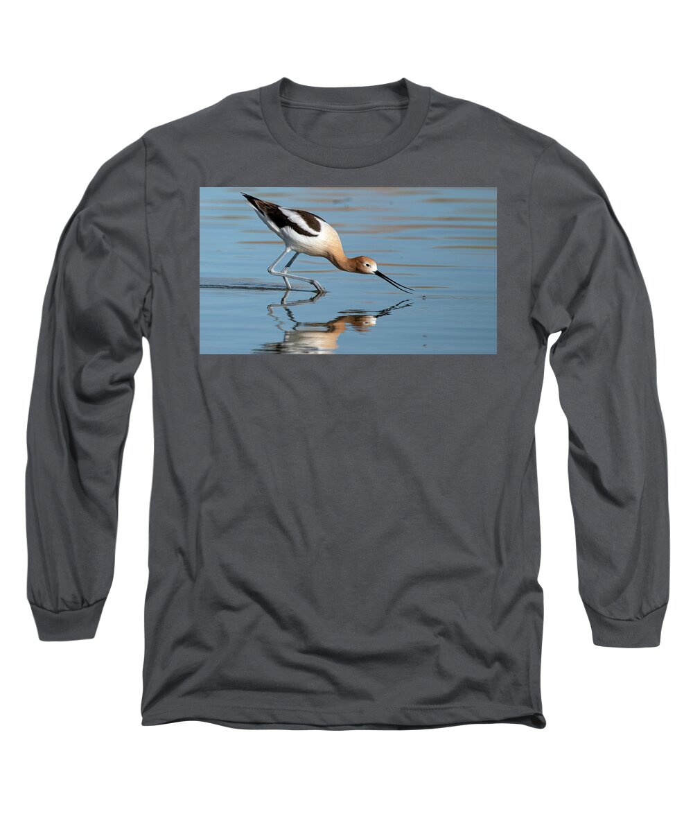 Avocet Long Sleeve T-Shirt featuring the photograph Avocet by Rick Mosher