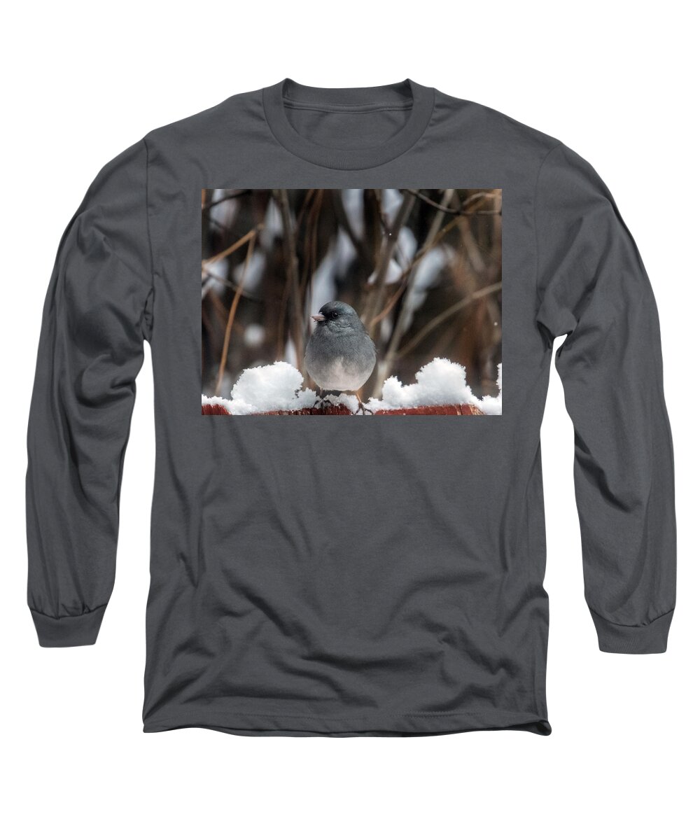 Junco Long Sleeve T-Shirt featuring the photograph Baby, it's Cold Outside by Laura Putman