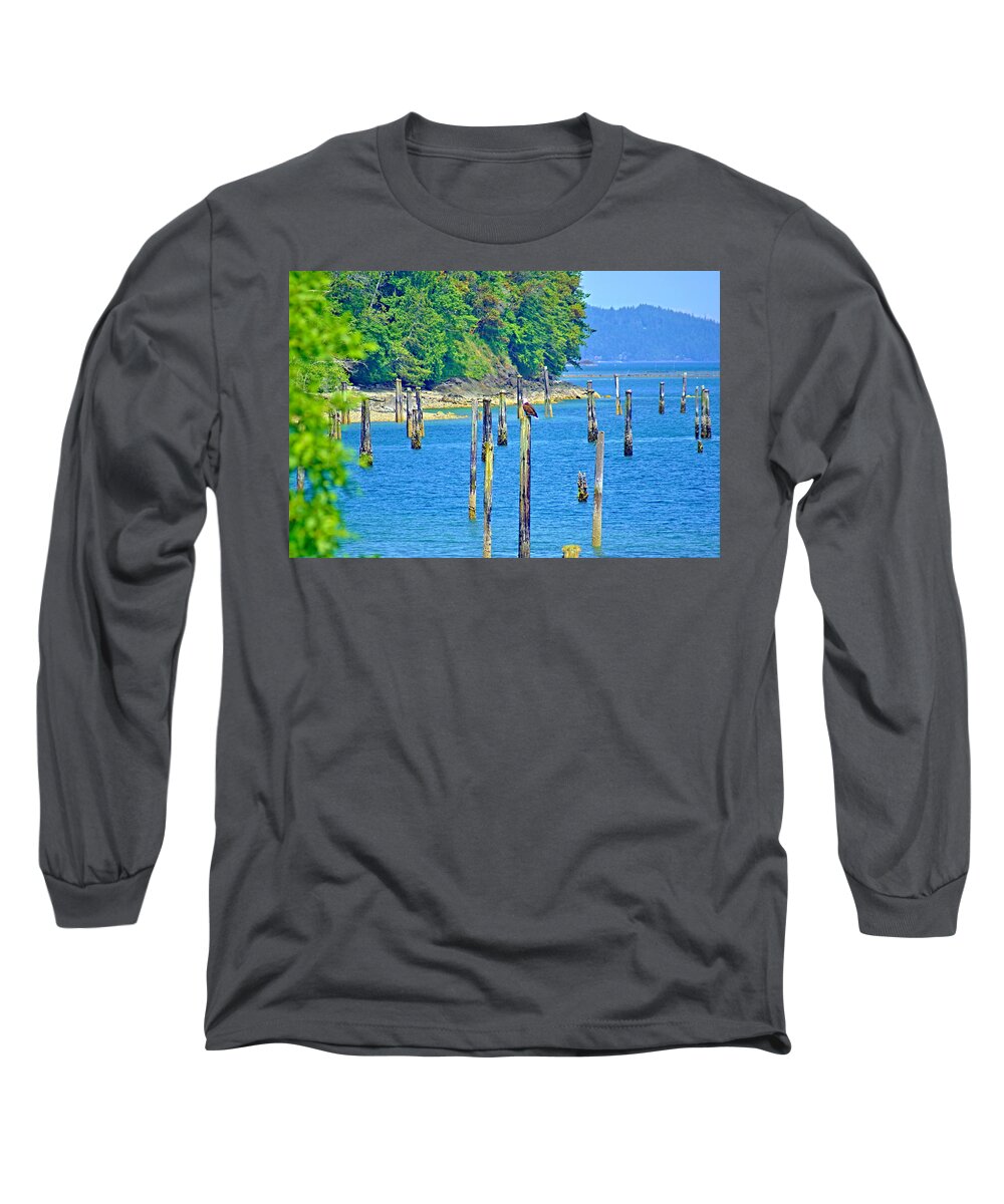 Hood Canal Long Sleeve T-Shirt featuring the photograph Bald Eagle by Bill TALICH