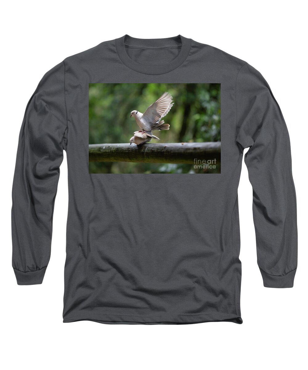 Barbary Dove Long Sleeve T-Shirt featuring the photograph Barbary Doves Mating by Eva Lechner