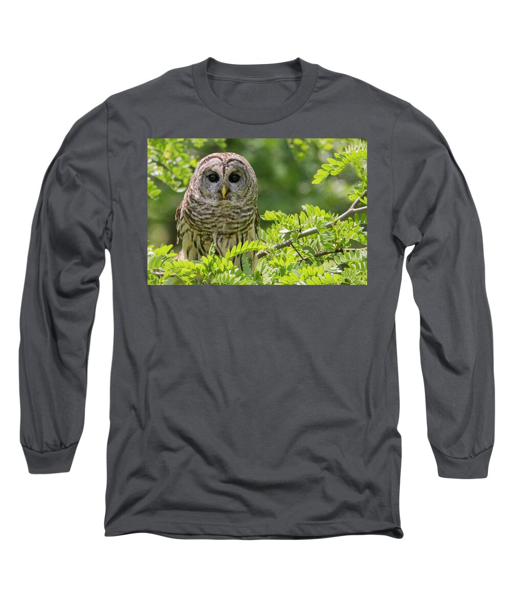 Barred Owl Long Sleeve T-Shirt featuring the photograph Barred Owl by Linda Shannon Morgan
