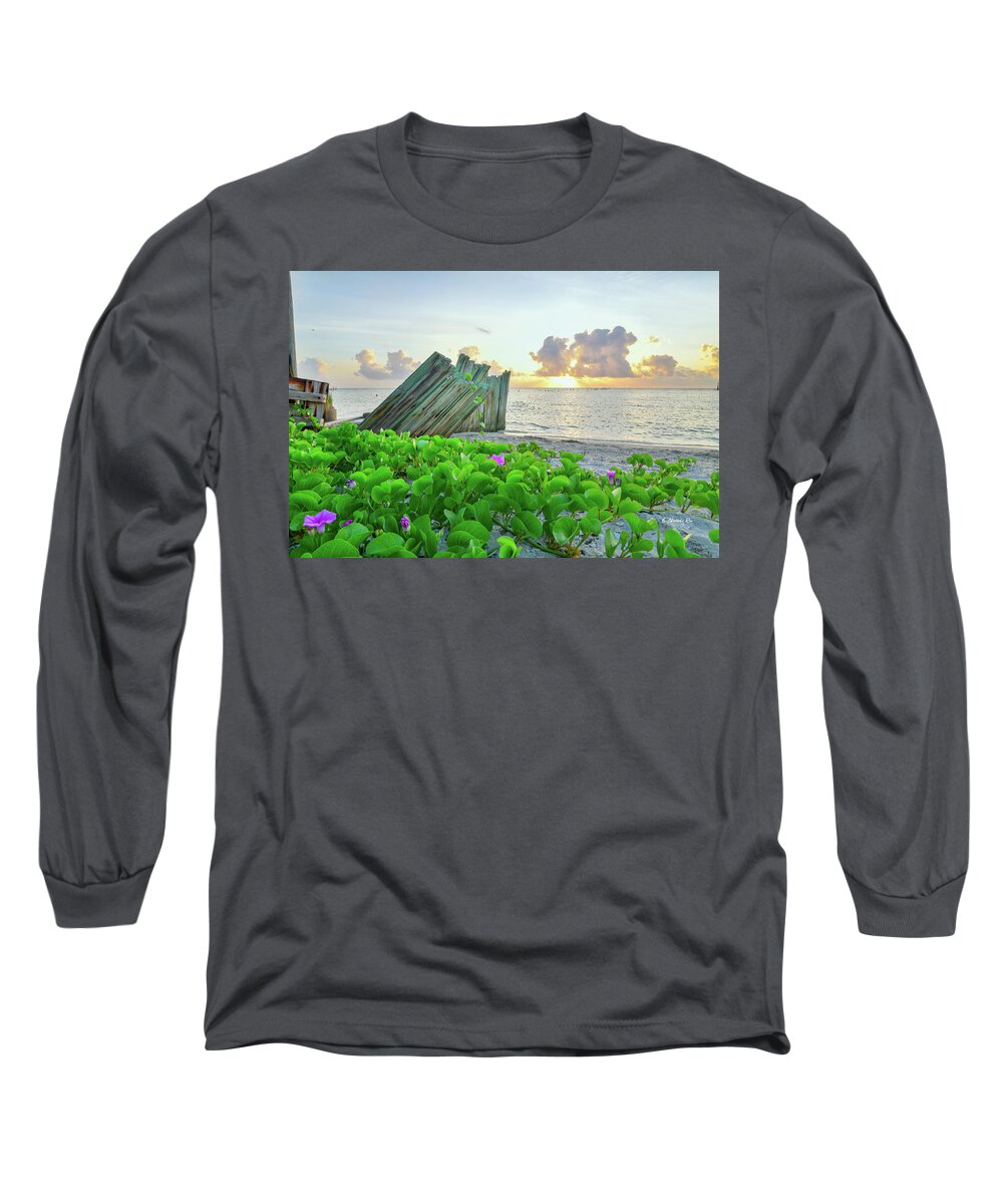 Rockport Long Sleeve T-Shirt featuring the photograph Beach Morning Glory by Christopher Rice