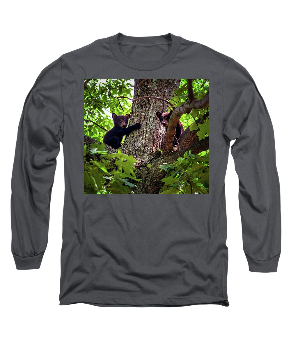 North Carolina Long Sleeve T-Shirt featuring the photograph Bear Cubs in a Tree by Dan Carmichael