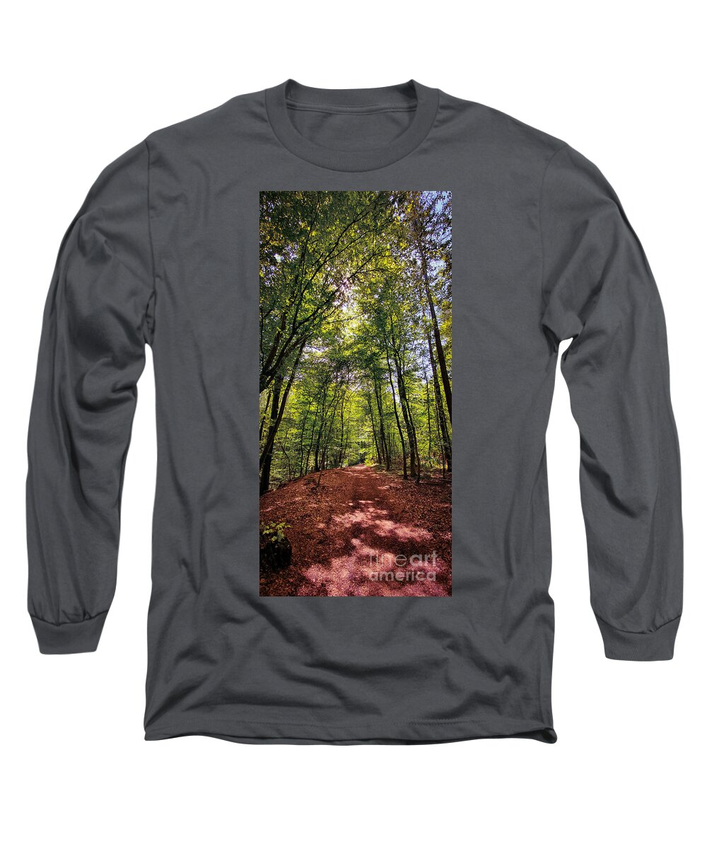 Forest Long Sleeve T-Shirt featuring the photograph Beautiful forest hiking and biking trail by Mendelex Photography