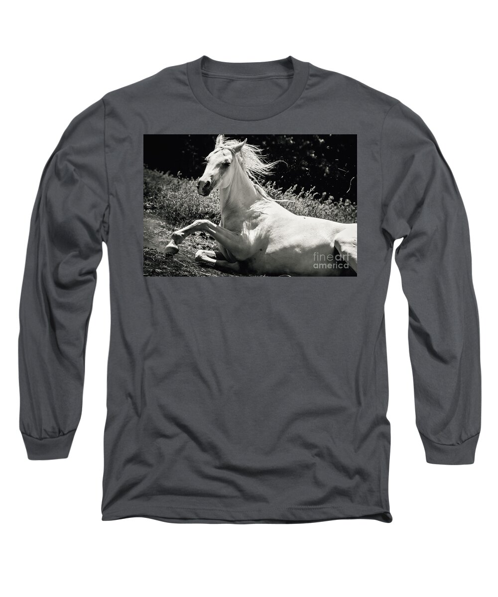 Horse Long Sleeve T-Shirt featuring the photograph Beautiful White Horse Laying Down by Dimitar Hristov