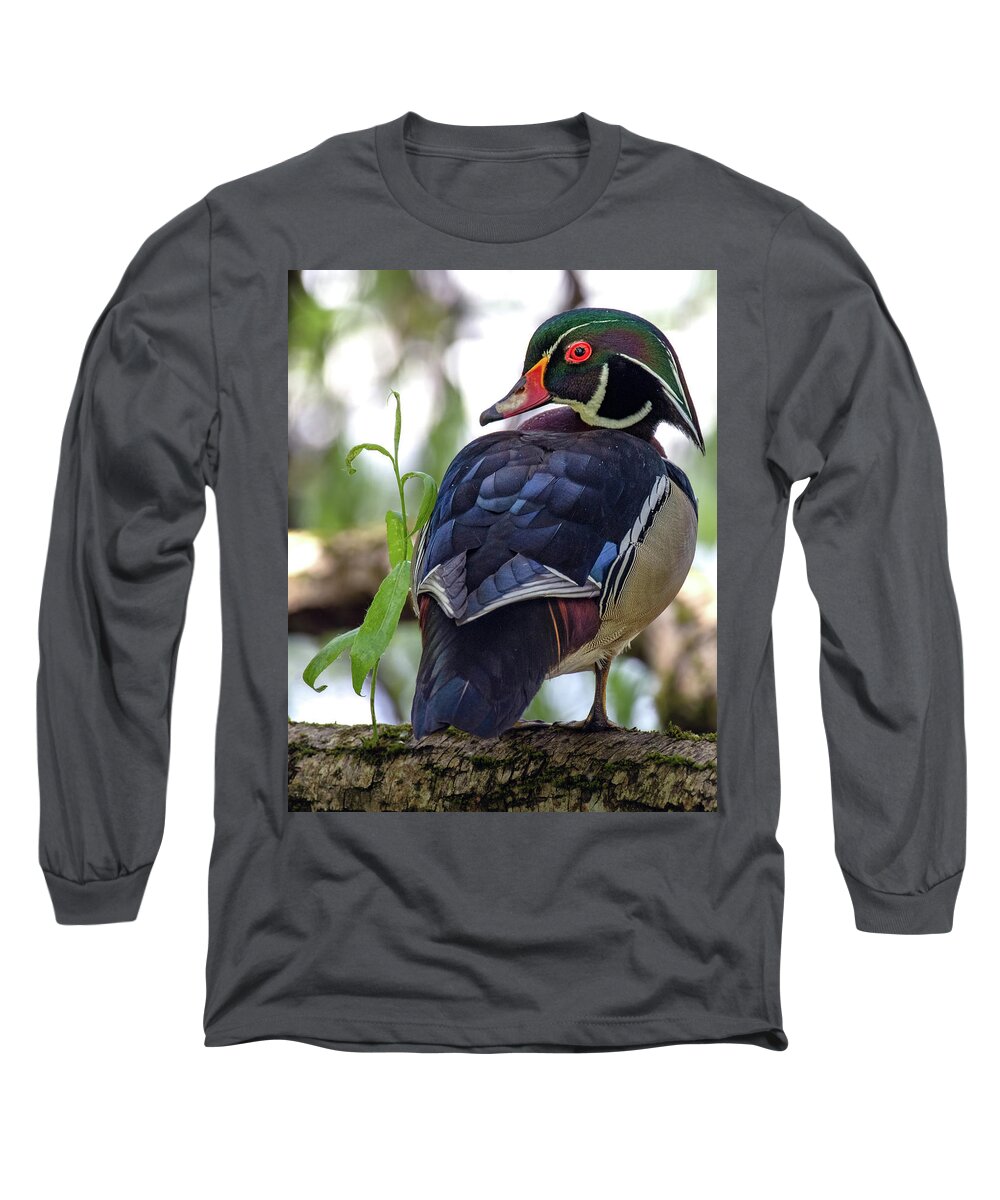 Rainbow Duck Long Sleeve T-Shirt featuring the photograph Beautiful Wood Duck by Jerry Cahill