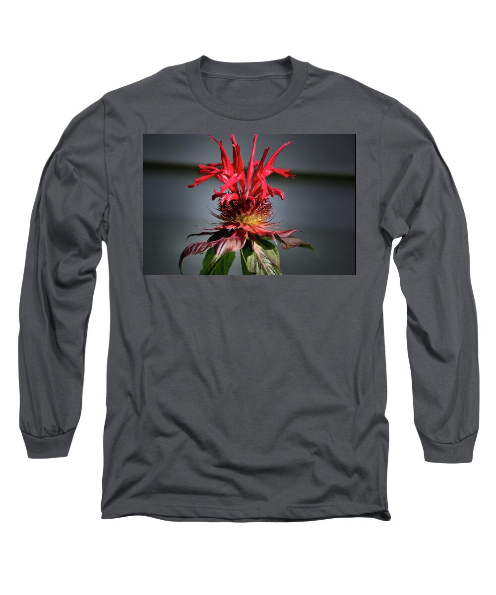 Plants Long Sleeve T-Shirt featuring the photograph Bees knees by Buddy Scott